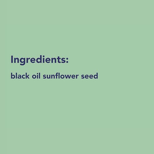 Black Oil Sunflower Seed, 40 lbs.