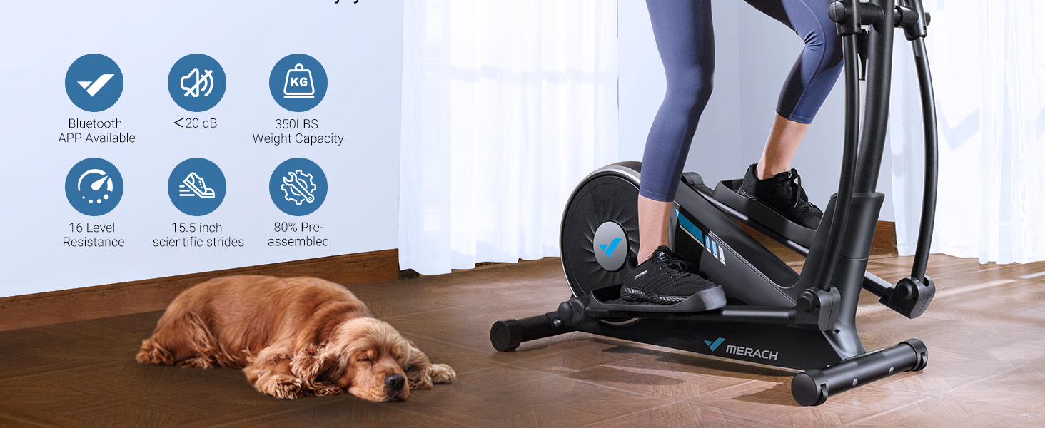 ellipticals