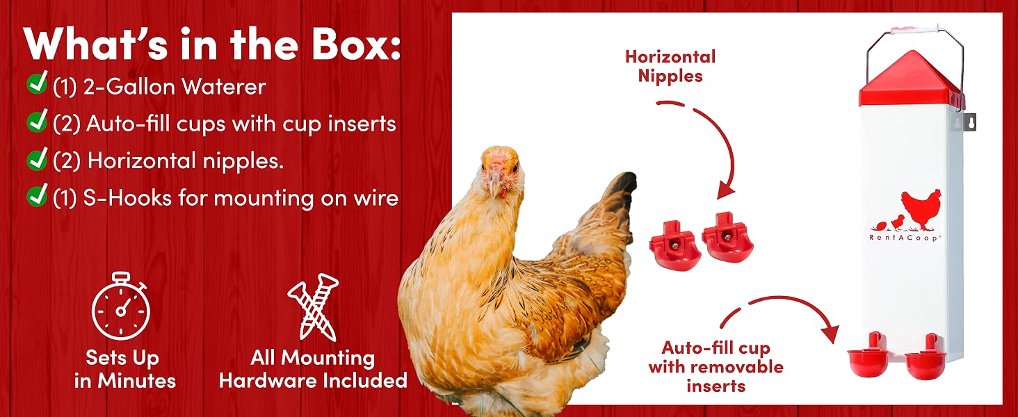 What&amp;#39;s in the Box?