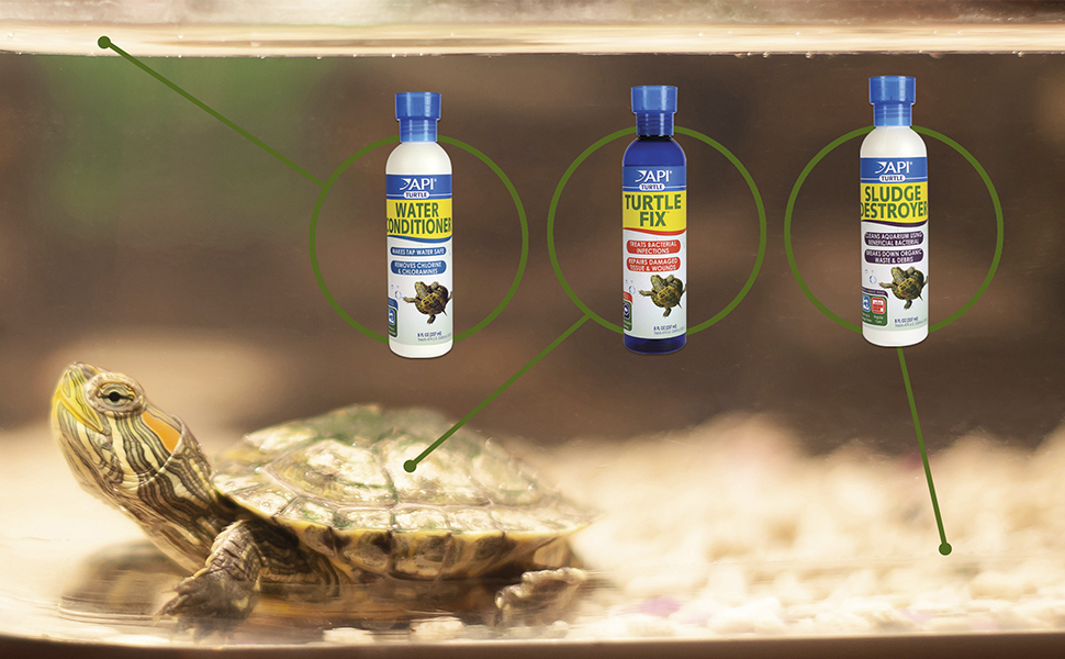 API turtle products water conditioner sludge destroyer turtle fix