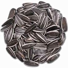 Striped Sunflower Seed