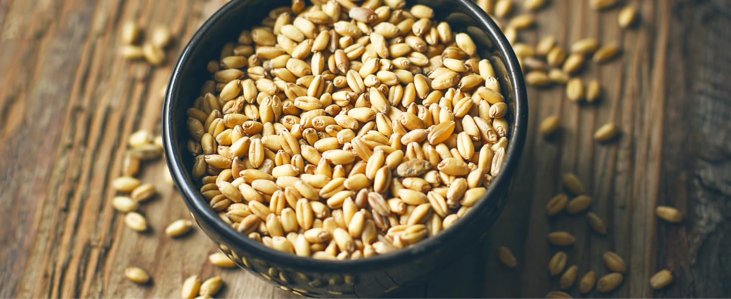 Organic Hulled Barley