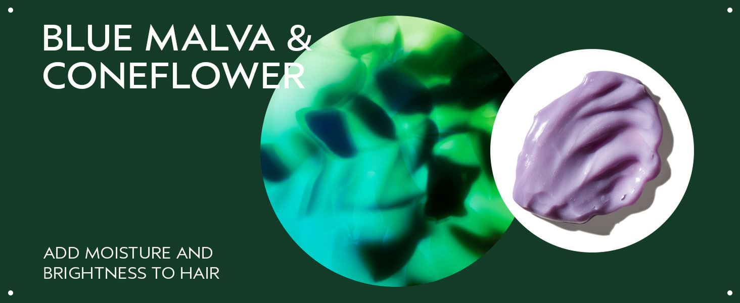 Blue Malva Conditioner