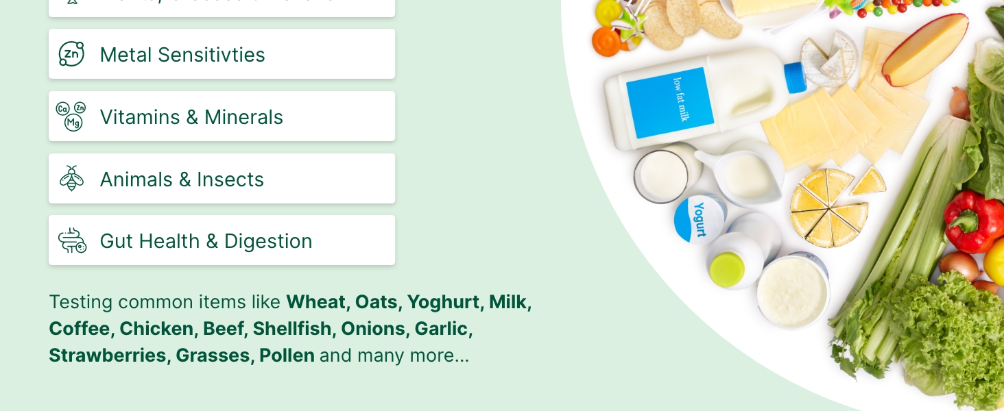 Shows food items and labels related to body intolerance testing for various sensitivities