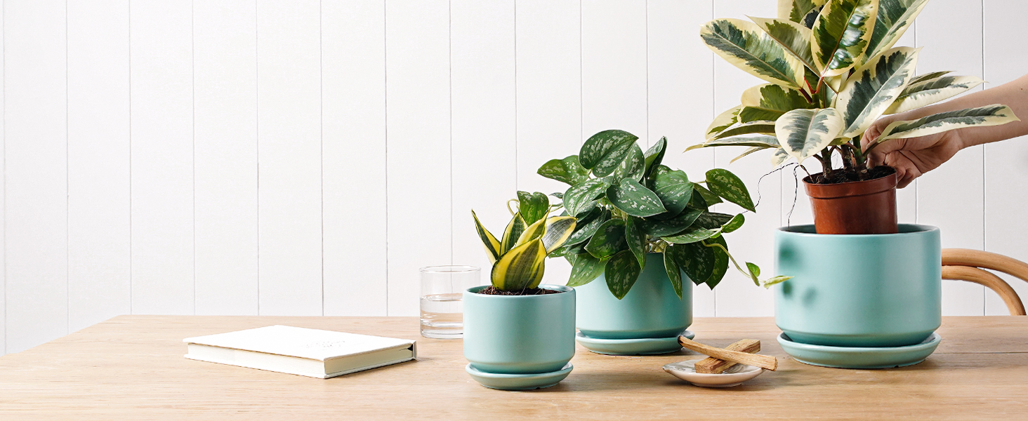 planter