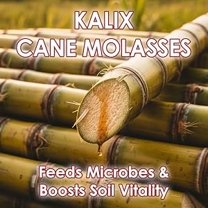 KALIX Cane Molasses feeds microbes, improves soil health, and enhances nutrient availability.