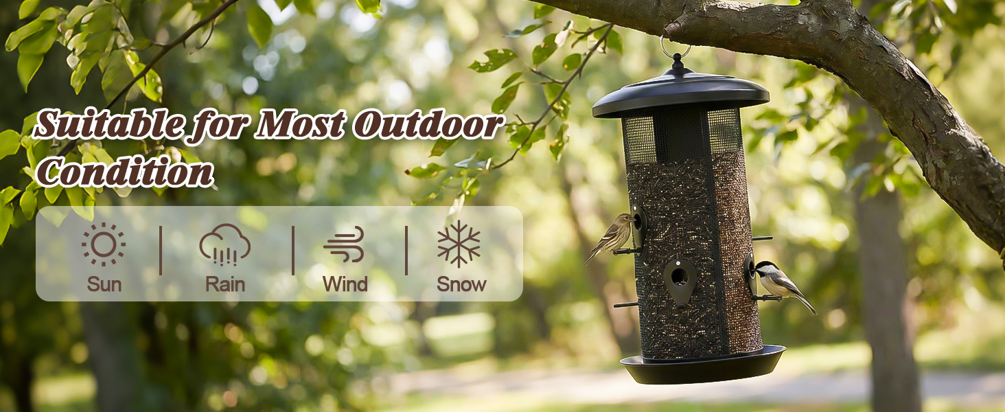 bird feeder