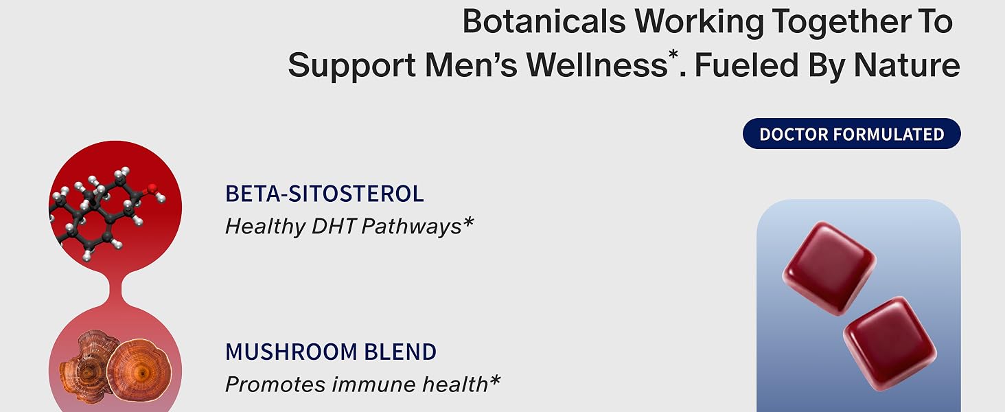 Bontanicals plant based natural beta-sitosterol mushroom blend