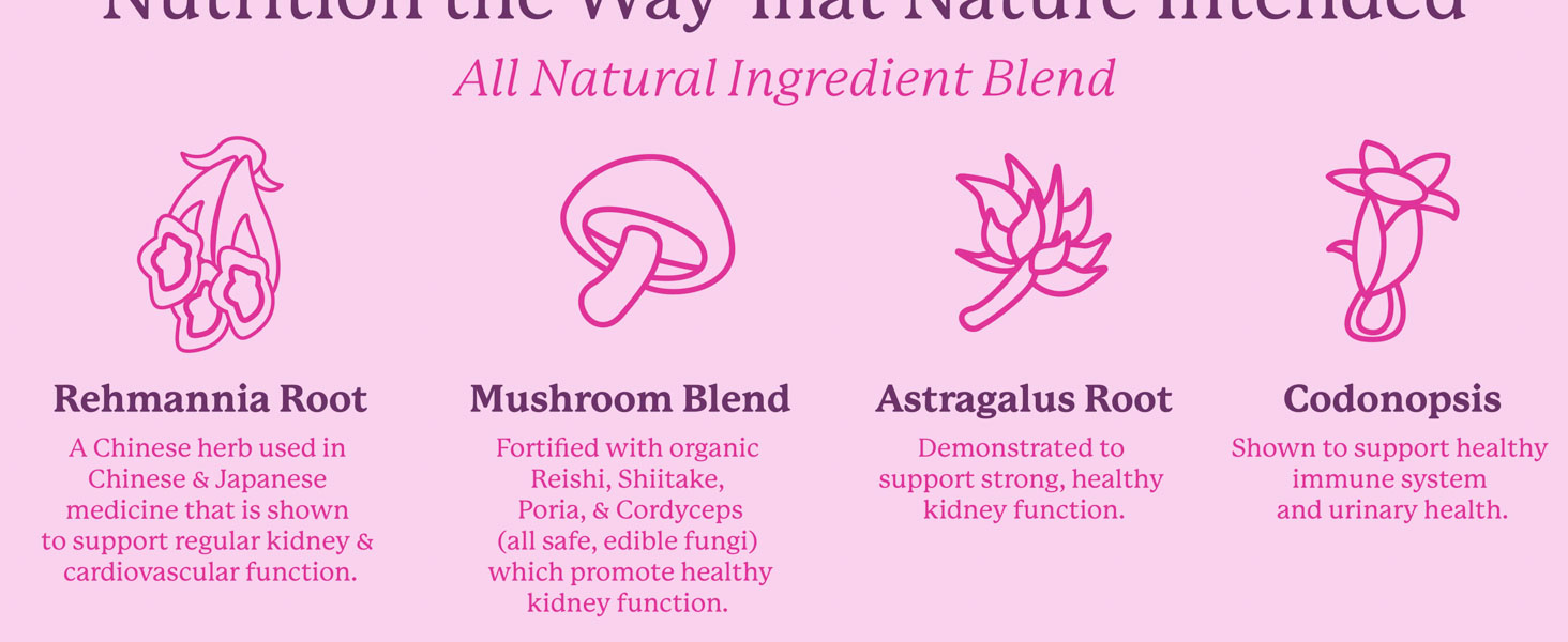 dr harveys kidney health support supplement for dogs herbal mushroom supplement natural immune