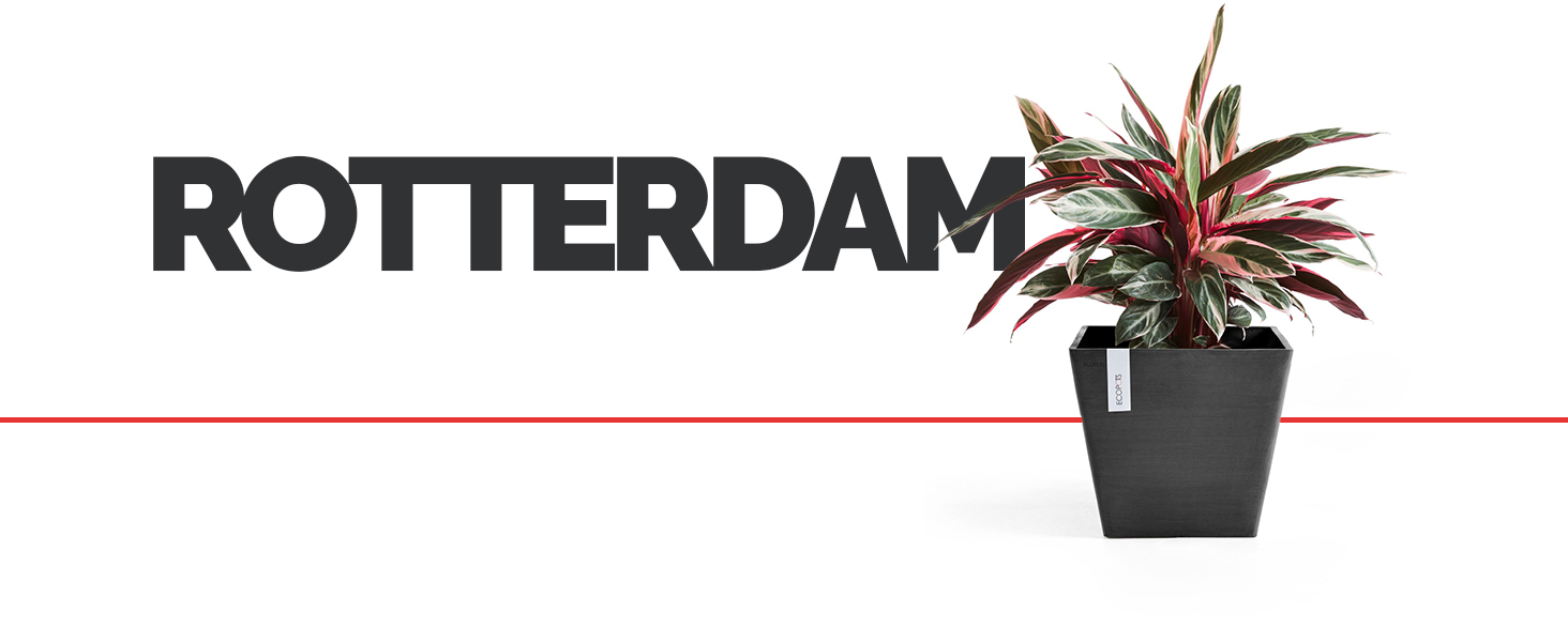 ECOPOTS Rotterdam Header