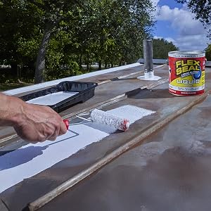 Flex Seal Liquid