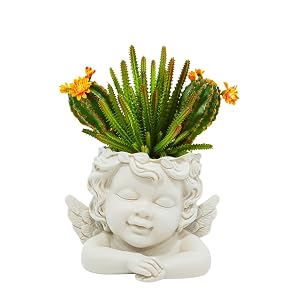 Desktop planter