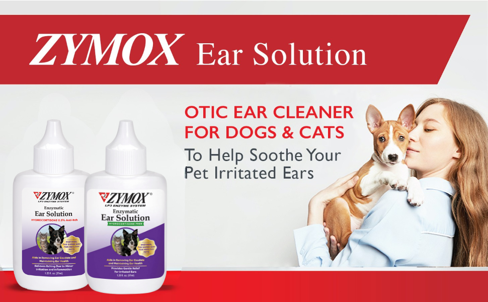 itchy dog ears