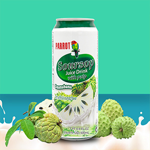 Soursop Juice Drink 16.9oz