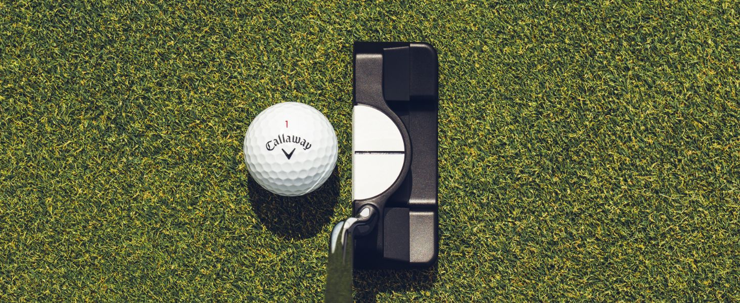 Ai-DUAL Double Wide ½ Ball Banner