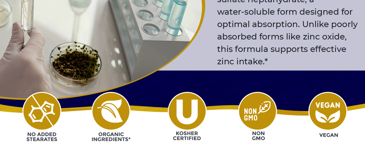 zinc liquid drops mary ruth organic vimergy kids sulfate supplements ionic tincture pure natural