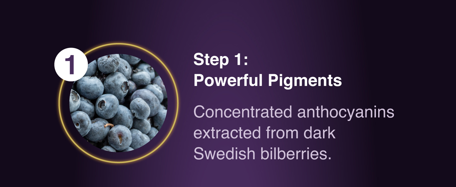 New Nordic Blue Berry Eye Vitamin