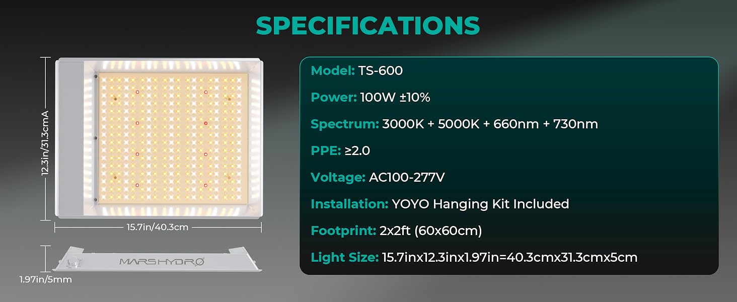 TS600 8