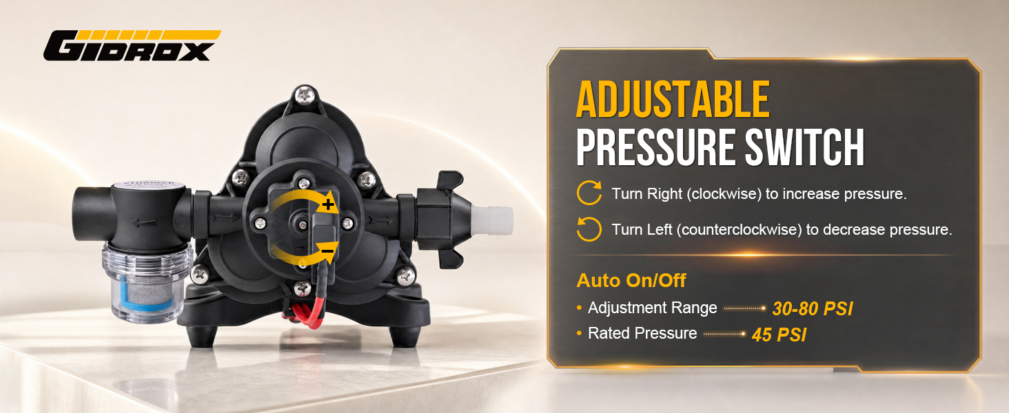RV Water Pump