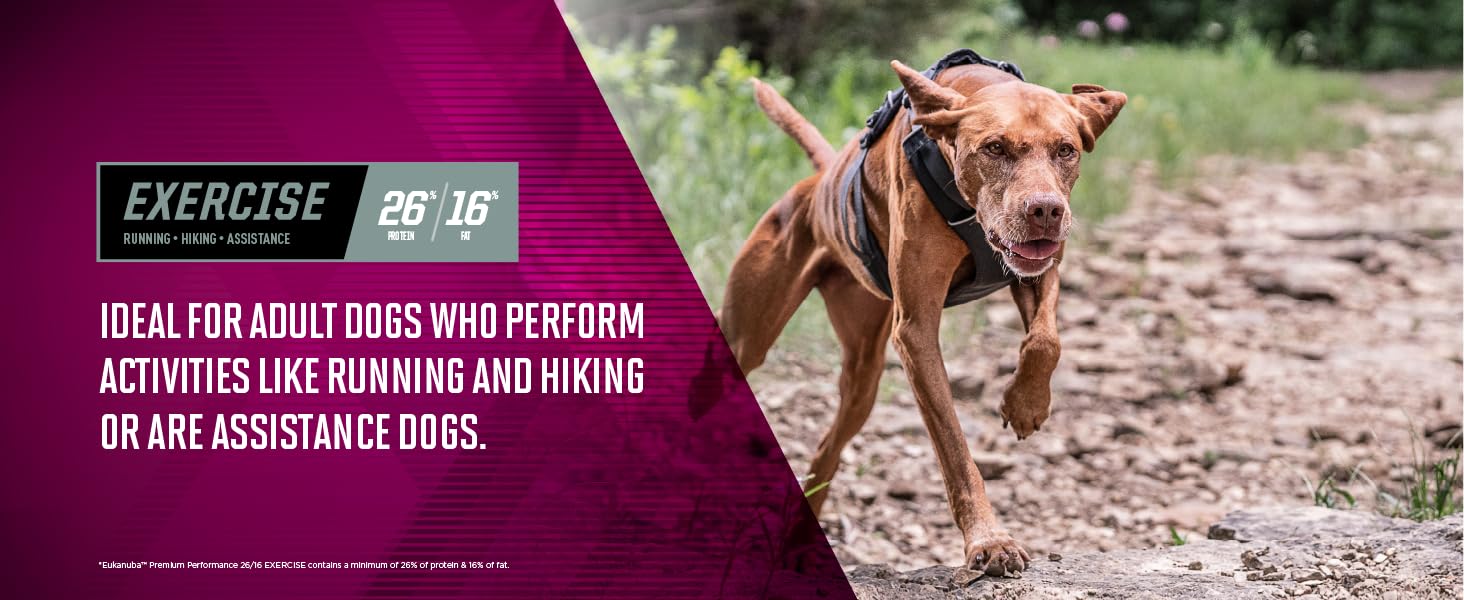 Ideal for adult dogs who perform actvities like running, hiking, or are assistance dogs
