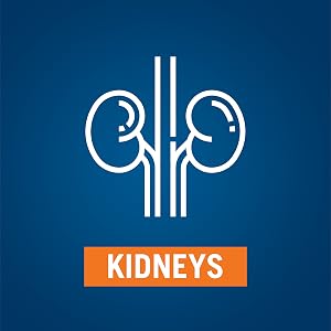 Kidneys