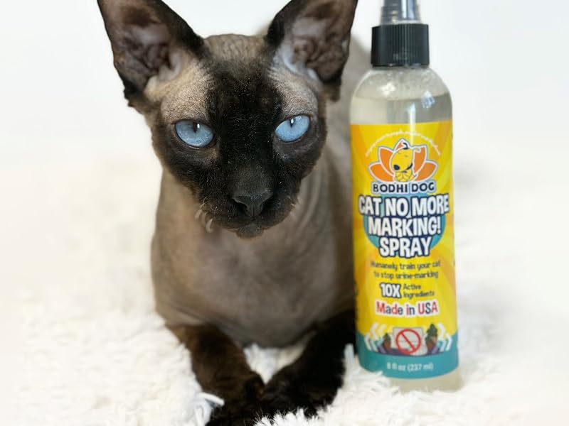 hairless cat with bottle of cat no more marking spray