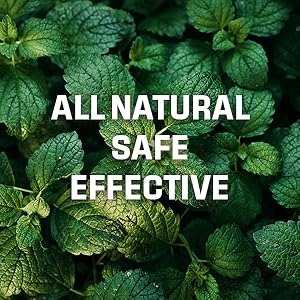 moth traps away insect dog pet car oils squirrel animal garden outside pure wasp ant gallon