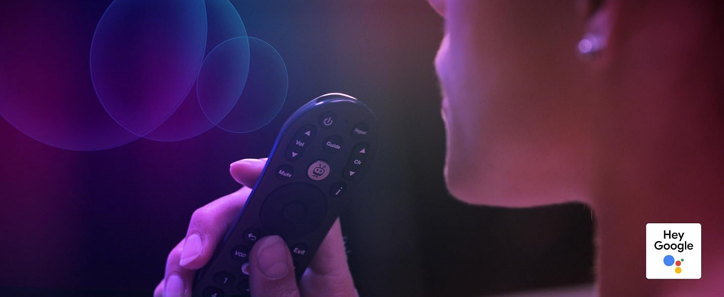 Voice Control