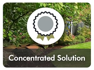 Concentrated Solution