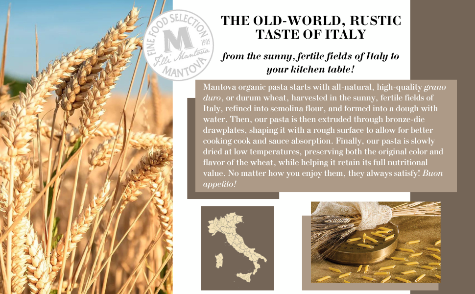 pasta organic