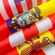TSMD 12 Pack Small Mini Countries Flags
