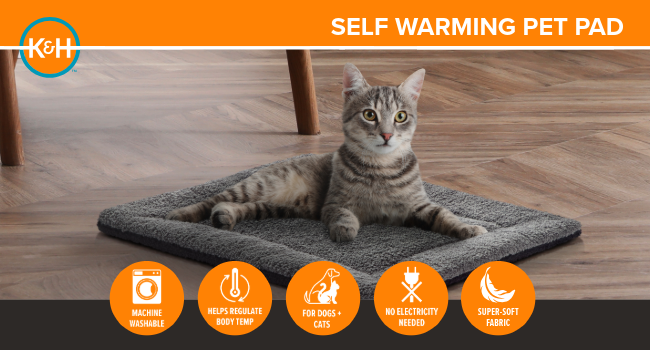 self warming heated bed indoor with soft sleep surface,machine washable, no electricity needed