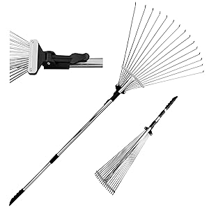 rake