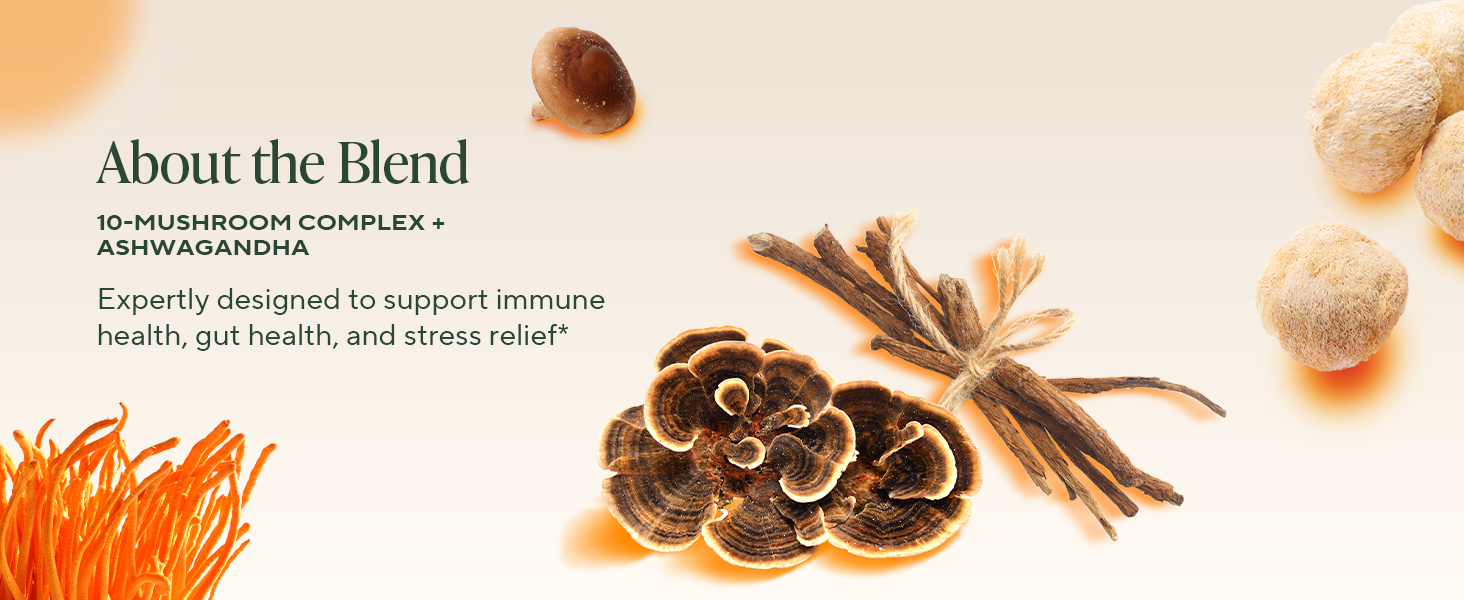 Combines ten mushrooms and ashwagandha to support immunity, gut health, and stress