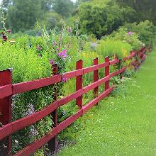 fence