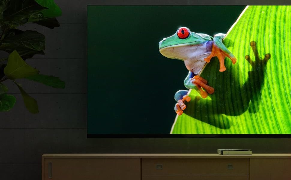 4K Entertainment with frog on tv