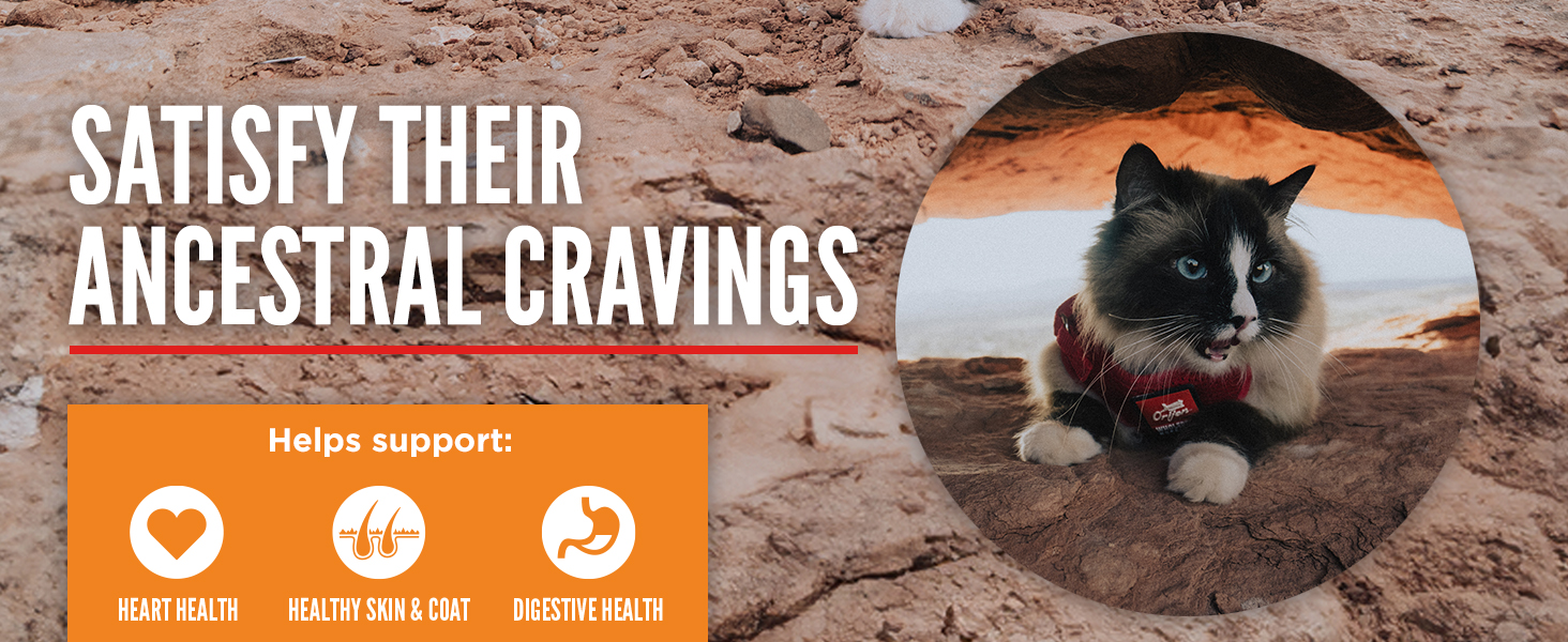 ORIJEN Cat Food, Nature Nourishes