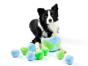 blue and green hide a ball