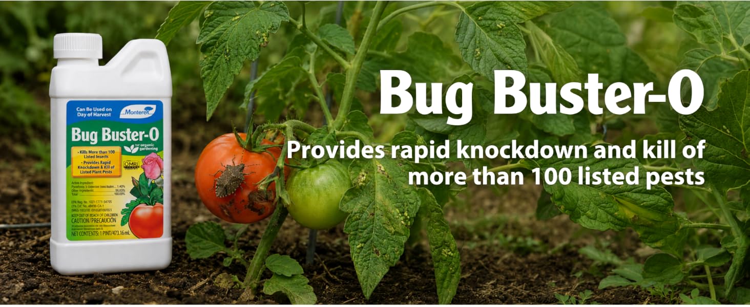 Bug Buster-O
