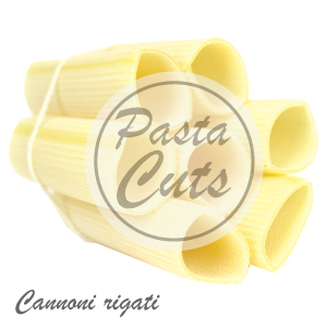 short pasta cuts