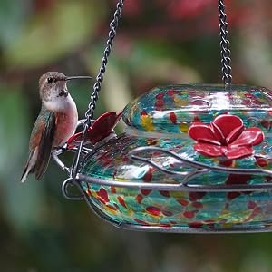 hummingbird feeding from nature&amp;#39;s way illuminated hummingbird feeder