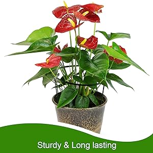 plant supports for the garden