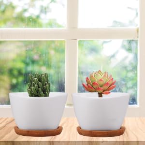 pots