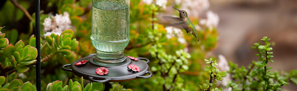 More Birds Vintage Glass Hummingbird features 5 feeding ports to accommodate multiple hummingbirds