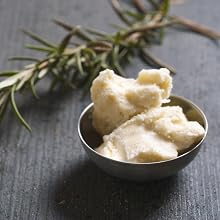 shea butter condition hydrate moisturize skin body glowing brighten renew improve elasticity