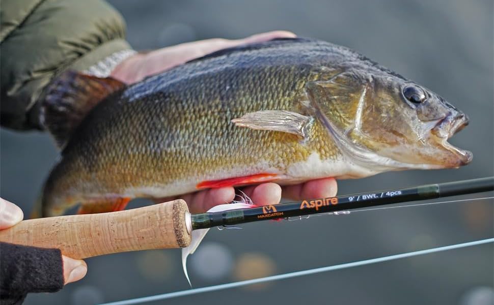 fly rods
