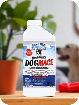 Nature’s MACE dog repellent 1 gallon, effective training tool for chewing and territorial behavior