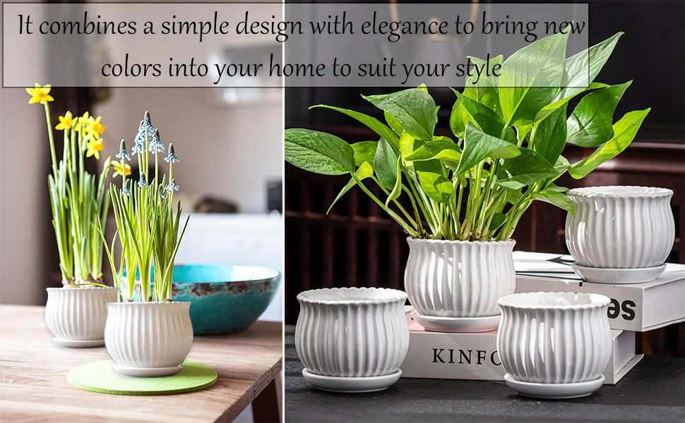 Modern Round Ceramic Succulent Planter Pots with White Stripe Texture