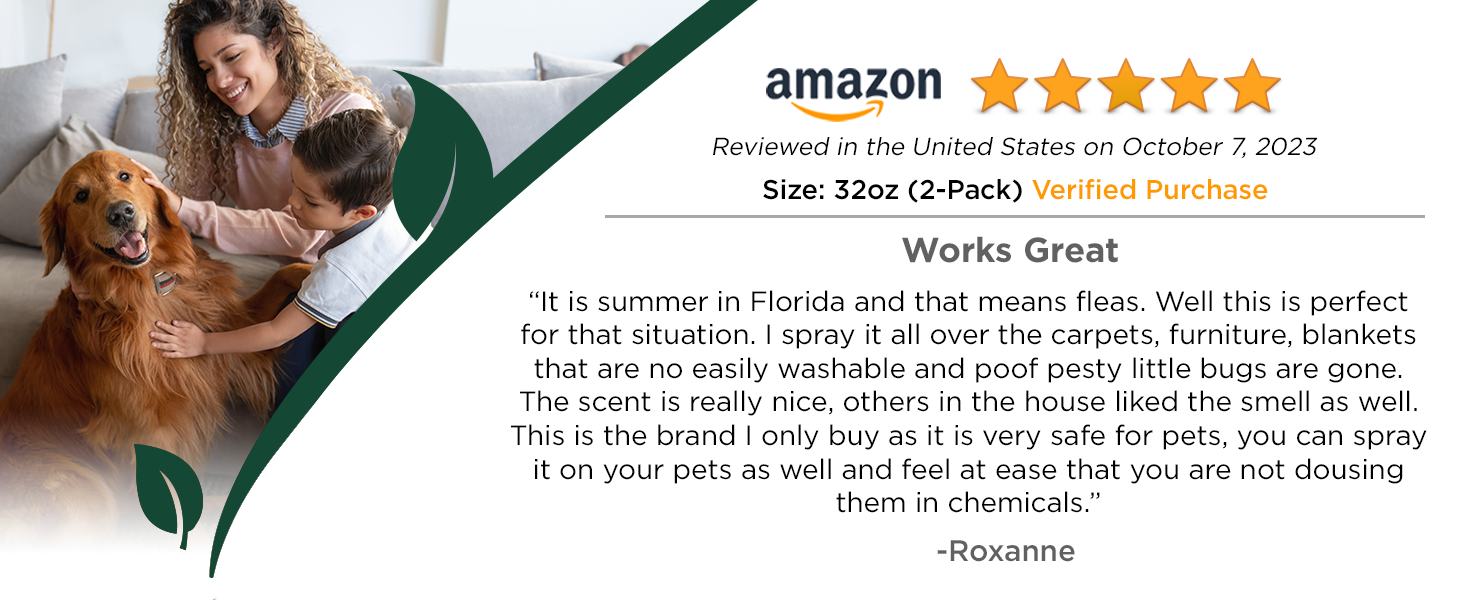 customer review 2