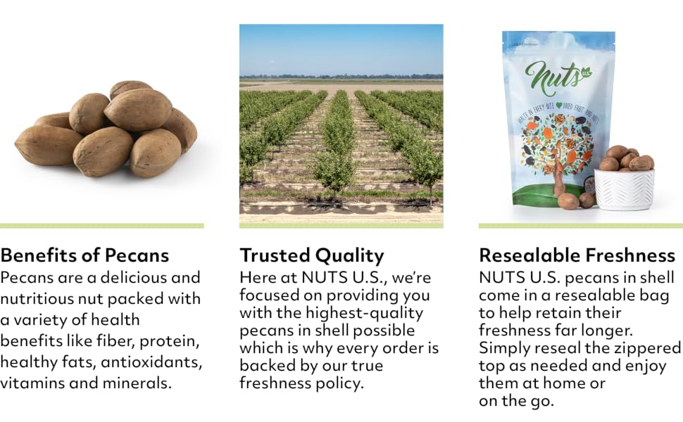 Benefits of pecans